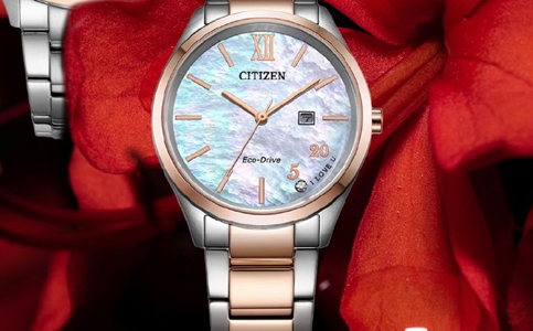 杭州西鐵城服務(wù)中心