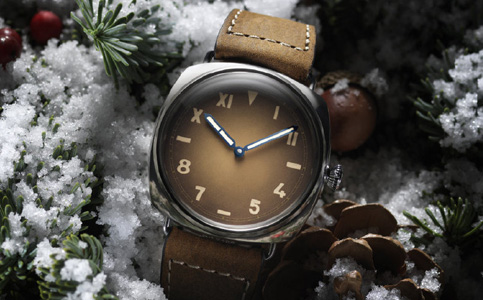 沛納海手表進水的處理方法都有哪些